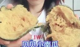 吃瓜小助理小鬼,揭秘娱乐圈幕后故事