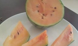 夏天吃小瓜,小瓜美食大赏