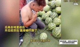 梦见收瓜吃土瓜