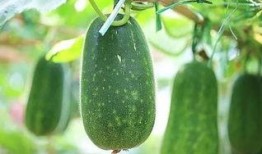 逍遥吃大瓜,揭秘娱乐圈幕后故事