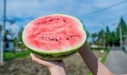 苏农新吃瓜,揭秘农业新风尚