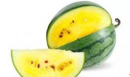 现在什么瓜可以吃,盘点时下最受欢迎的夏日瓜类美食