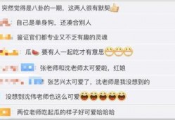 沈伟吃瓜,揭秘娱乐圈幕后真相