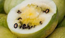 瓜从边上吃越吃越甜,瓜果的奇妙成长之旅