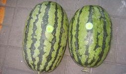 曹县吃瓜在线观看,揭秘网络热点的背后故事