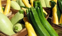 带你吃瓜作品,揭秘带你吃瓜作品背后的故事与魅力