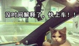 吃瓜群众快上车,揭秘娱乐圈那些不为人知的幕后故事