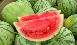 51热门吃瓜今日吃瓜17,今日吃瓜17，揭秘娱乐圈最新热点事件