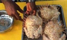 印度女性吃蒲瓜