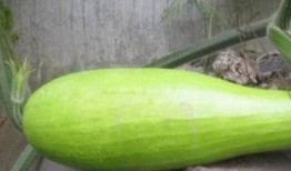 砍瓜怎么吃 好吃吗