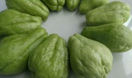 佛手瓜怎么吃云南,佛手瓜的多彩食法探索